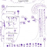 agenda art 2
